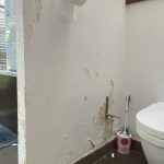 Rénovation WC - LE PLESSIS TREVISE